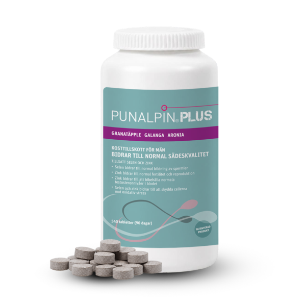 SE_PUNALPIN-PLUS-540-2026.png