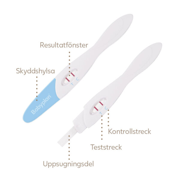 Babyplan ägglossningstest stav