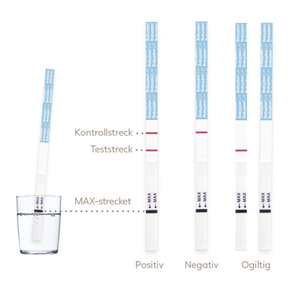 Babyplan ägglossningstest sticka