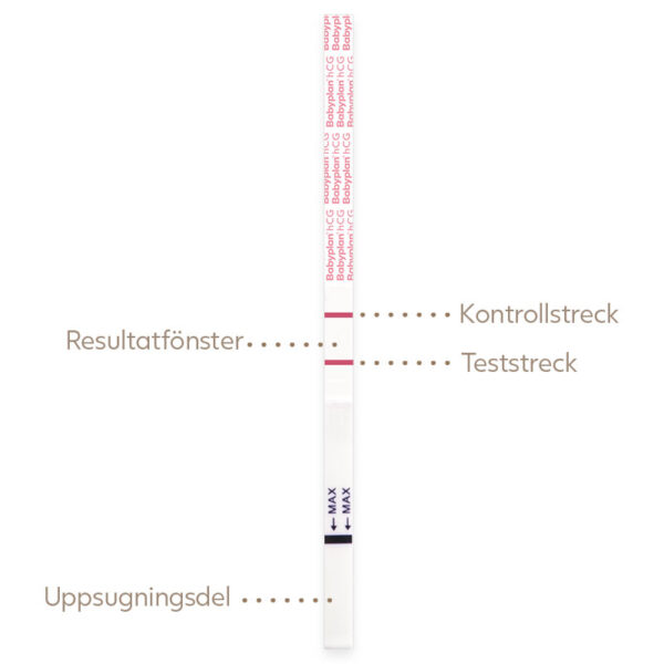 Babyplan graviditetstest sticka