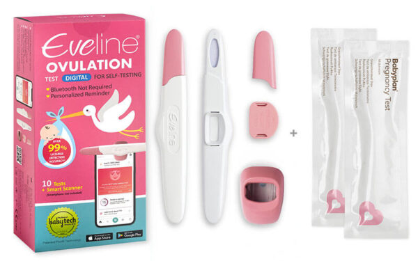 eveline-box-newsletter-2 eveline-box-newsletter-2