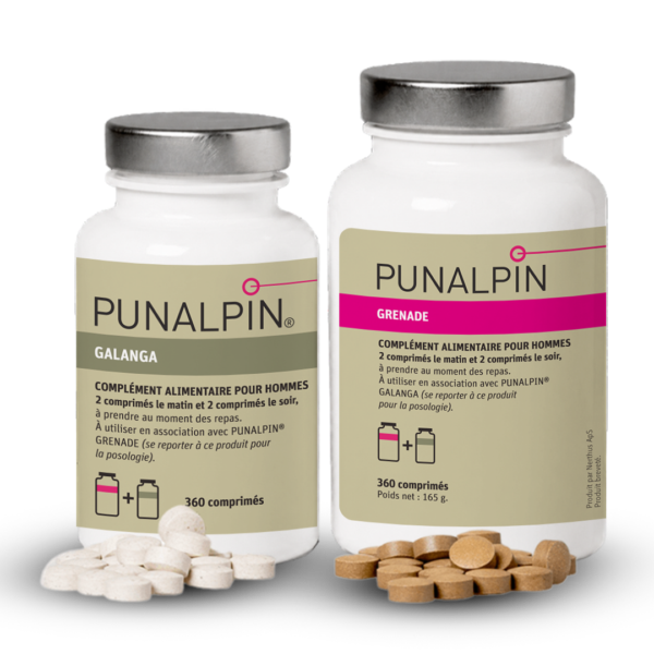 FR_PUNALPIN-2026.png FR_PUNALPIN-2026.png