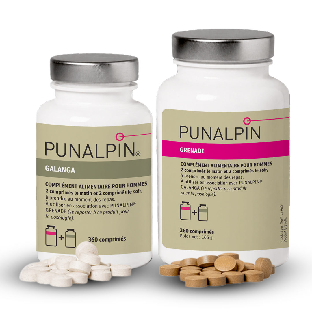 FR_PUNALPIN-2026.png FR_PUNALPIN-2026.png